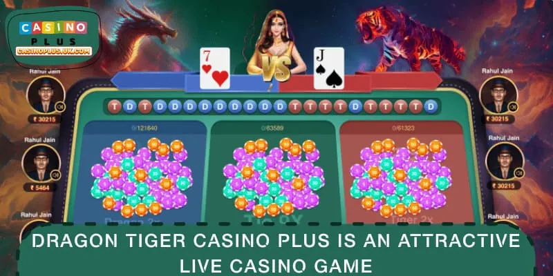 Betting rules in Dragon Tiger CASINO PLUS